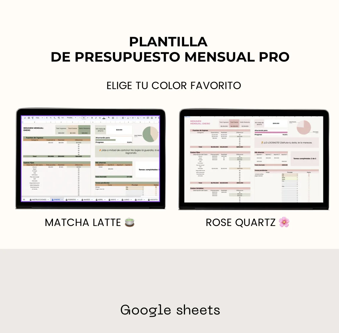PRESUPUESTO MENSUAL PRO Cover